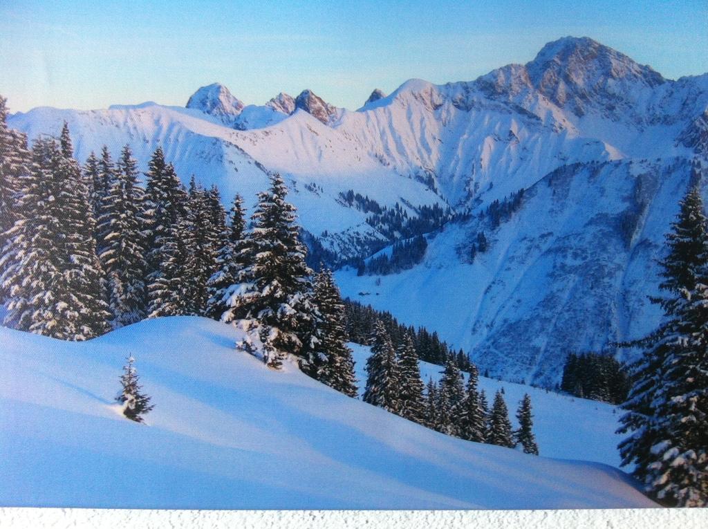 Appartamento Gasthaus Glockle Damuels Camera foto